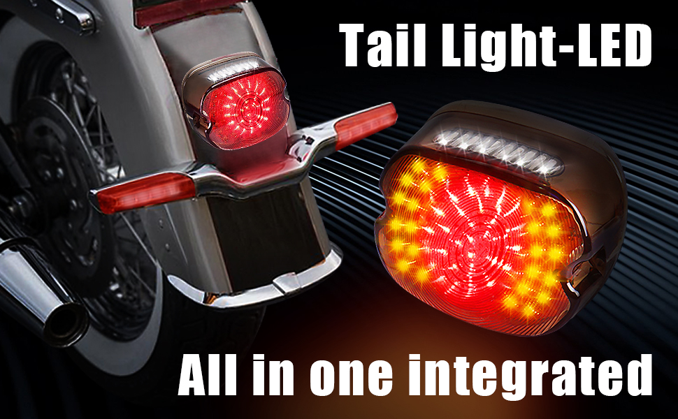 Harley Tail light