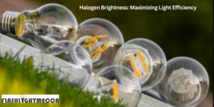 Halogen-Brightness-Maximizing-Light-Efficiency: A collection of halogen bulbs showcasing various shapes and bases, optimized for bright and efficient lighting.